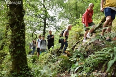 summer2-sprach-reise-england-schüler-interaktiv-reisen-kinder-jugend-freizeit-ferien-englisch_165